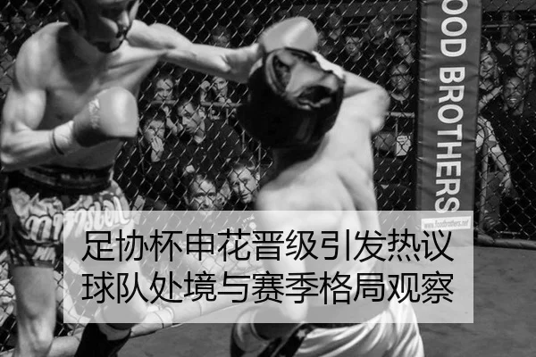 足协杯申花晋级引发热议 球队处境与赛季格局观察 - hth